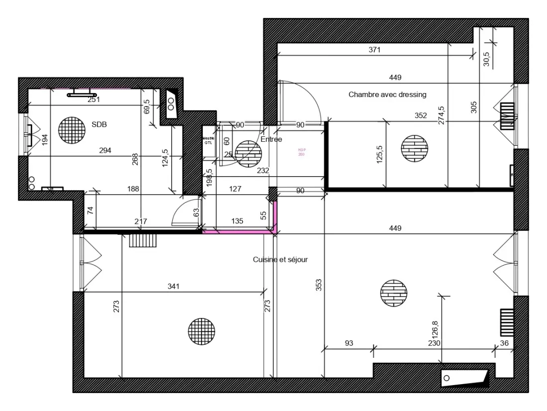Plan de l'appartement après agencement : entrée, chambre avec dressing, salle de bains, cuisine ouverte sur le séjour